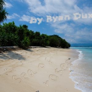 Ryan Dux - Sea of roses (Instant Download)