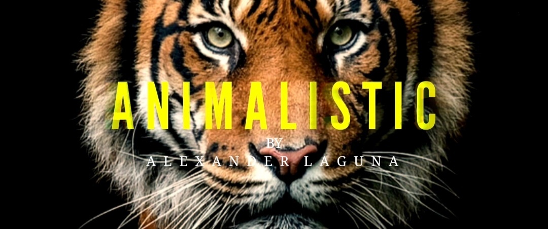 Alexander Laguna – ANIMALISTIC