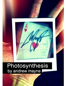 Andrew Mayne - Photosynthesis