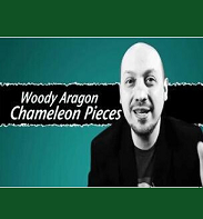 Chameleon Pieces by Woody Aragon