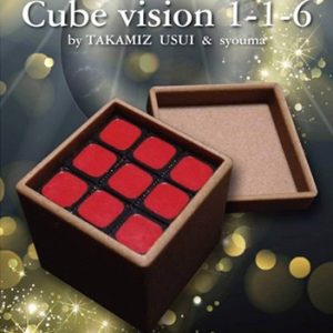 Cube Vision 1-1-6 by Takamiz Usui and Syouma