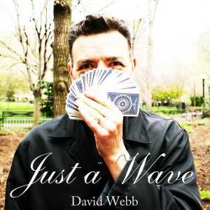 David Webb - JustaWave
