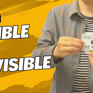 Dingding - The Vault - Visible or Invisible
