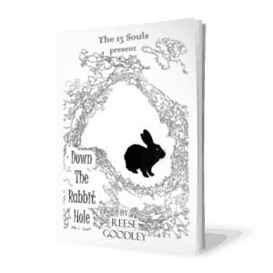 Down The Rabbit Hole By Reese Goodley