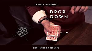Drop Down by Lyndon Jugalbot