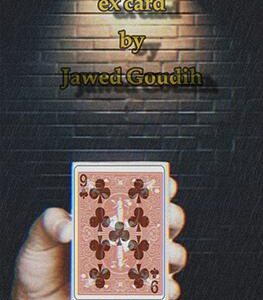 Ex Card by Jawed Goudih