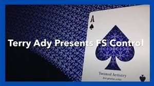 FS Control by Terry Ady