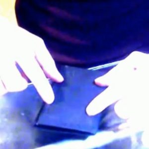 Feather by Kevin Parker