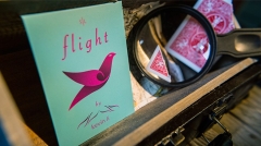 Flight by Kevin Li and Shin Lim