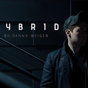 HYBRID by Danny Weiser