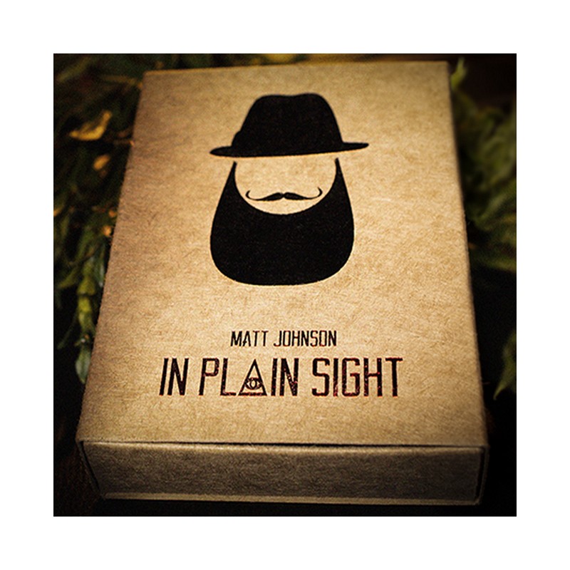 In Plain Sight by Matt Johnson