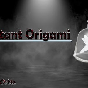 Instant Origami by Bachi Ortiz