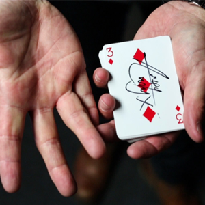 Jim Rosenbaum - Gecko Pro System