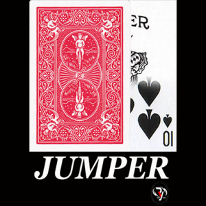 Jumper by Rama Yura