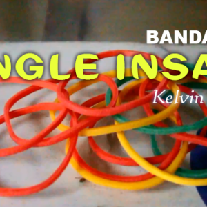 KELVIN TRINH - BANDARIOUS : SINGLE INSANE