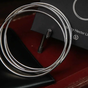 Lion Rings by Hector Lion & TCC