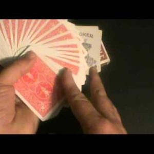 Lubor Fiedler - Fiedlers Flier