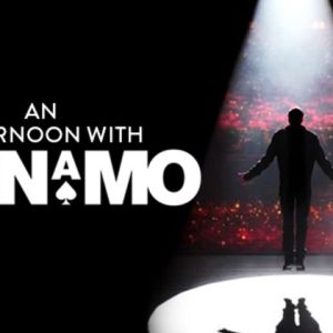 Magic Stream - An Afternoon With Dynamo