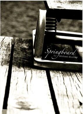 Michael Murray - Springboard