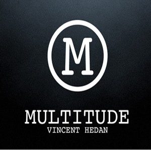 Multitude by Vincent Hedan