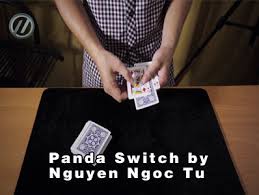 Nguyen Ngoc Tu - Panda Switch