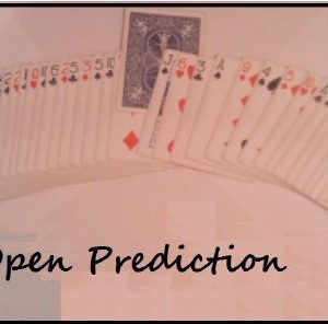 Open Prediction by Tommaso Guglielmi