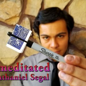Premeditated by Nathaniel Segal (Instant Download)