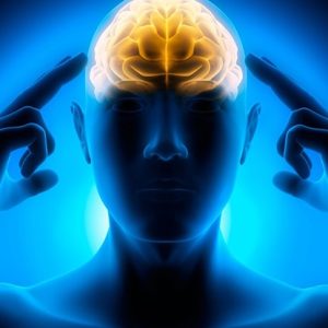 ROYLE'S REAL WORLD CENTER TEAR REVEAL by Jonathan Royle