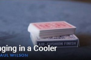 Ringing in a Cooler by Paul Wilson