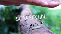 SCARECOIN by Arnel Renegado
