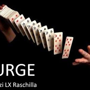 SURGE by Ouzi LX Raschilla