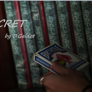Secret by D.Galdot