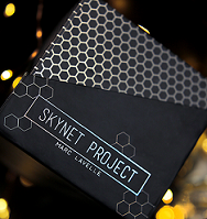 Skynet Project by Marc Lavelle