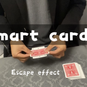 Smart Card by Dingding