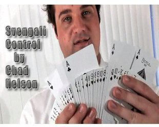 Svengali Control by Chad Nelson
