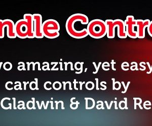 Swindle Controls by Andi Gladwin