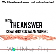 The Answer by Ron Salamangkero