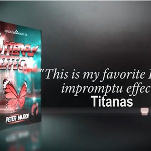 The Butterfly Effect by Peter Nardi - Download now