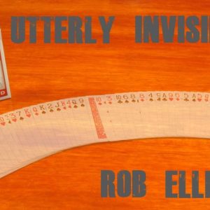 Utterly Invisible by Rob Ellinger