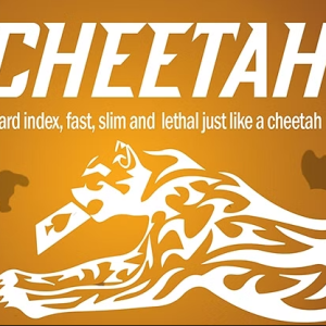 Vernet Magic's Cheetah