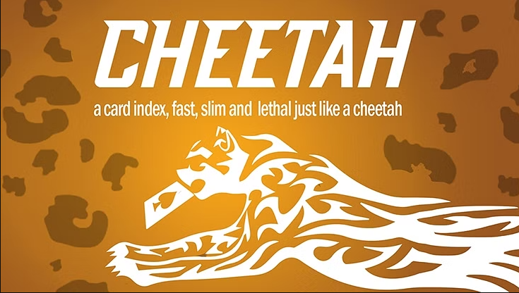 Vernet Magic's Cheetah
