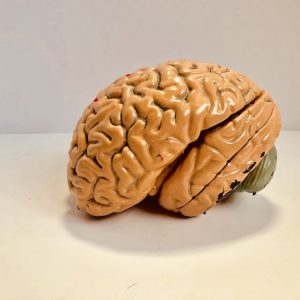 Kassim Beydoun - Mental Thoughts Vol 1