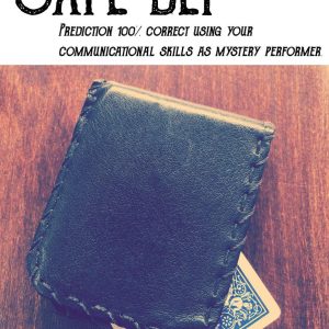 Safe Bet by Pablo Amira