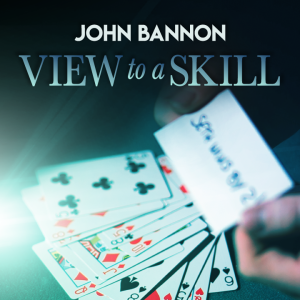 John Bannon – View To A Skill
