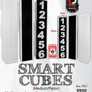 Smart Cubes (Medium Parlor) by Taiwan Ben