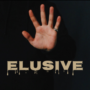Sultan Orazaly – Elusive