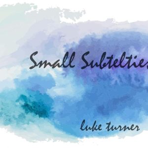 Small Subtelties by Luke Turner