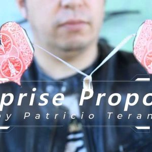 SURPRISE PROPOSAL BY PATRICIO TERAN