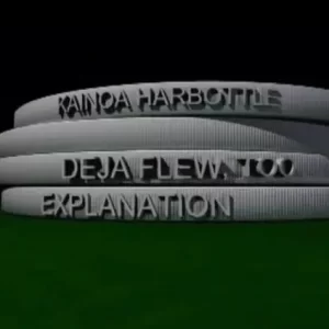 Deja Flew Too by Kainoa Harbottle