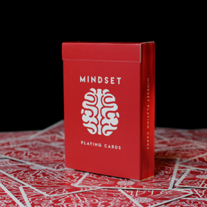 Mindset Secrets by Anthony Stan